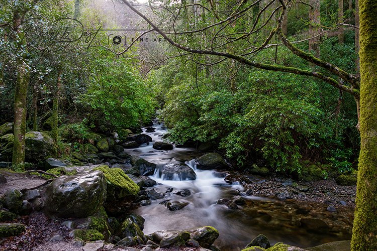 Torc Waterfall in Killarney National Park, County Kerry, Ireland. Lower section with trees, rocks, stream, moss and the glimmer of sunlight.