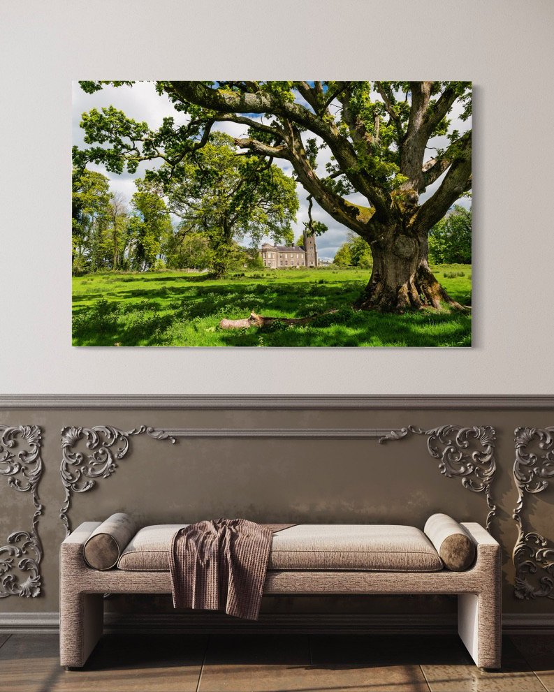 Mansion with an Old Oak Tree Canvas Print