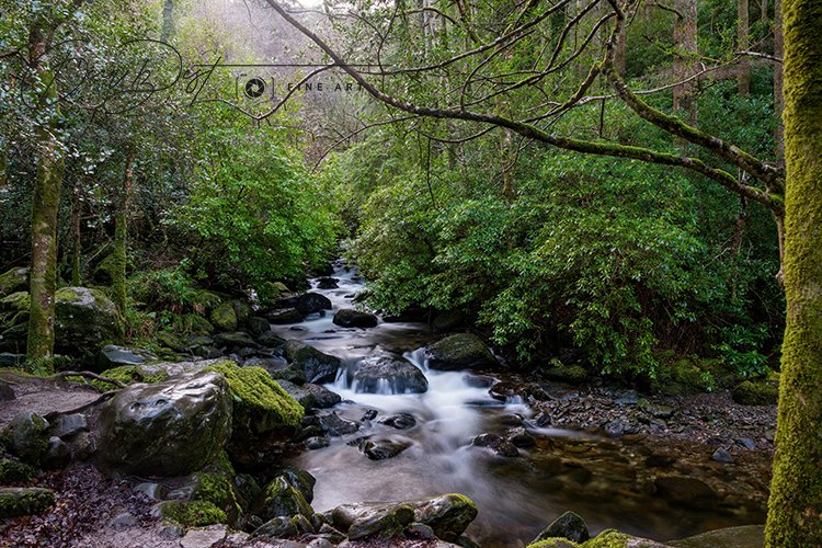 Torc_Waterfall_Ireland_Killarney_Kerry_ County_Stream.jpg