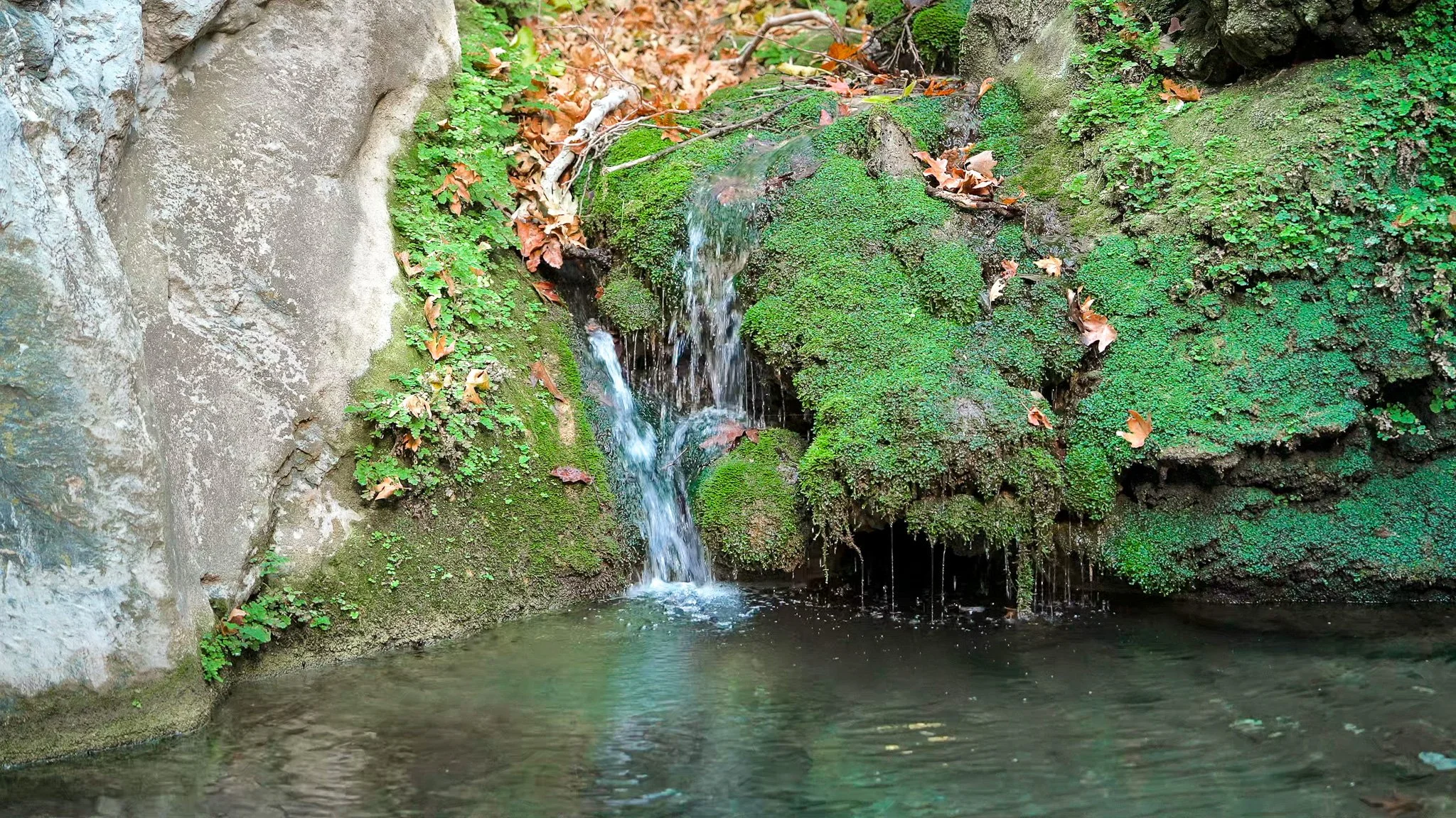 Quiet Renewal – Mossy Cascade in Crete, Greece