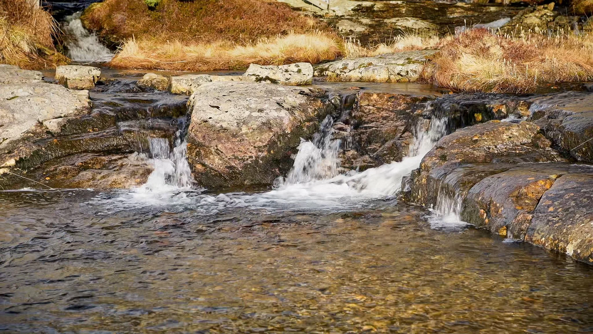 Clear mountain stream flowing over rugged rocks in Lofoten, Norway, with calm northern landscape scenery.