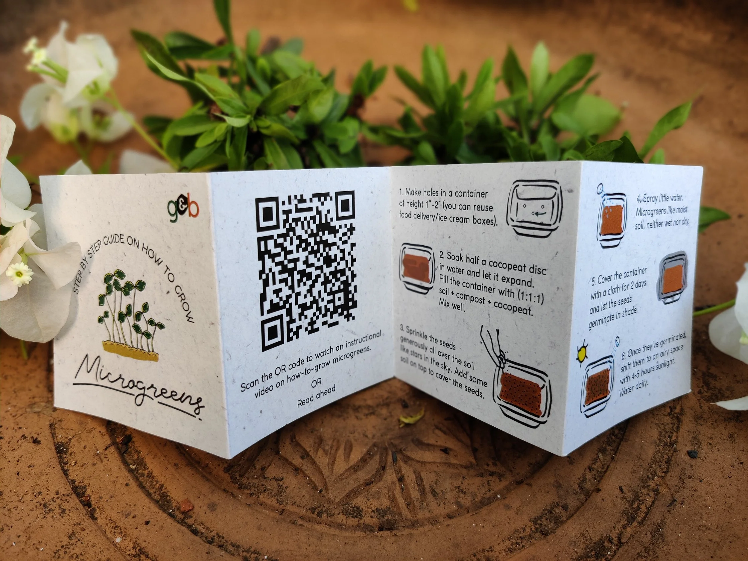 Manual on how to grow micgrogreens at home
