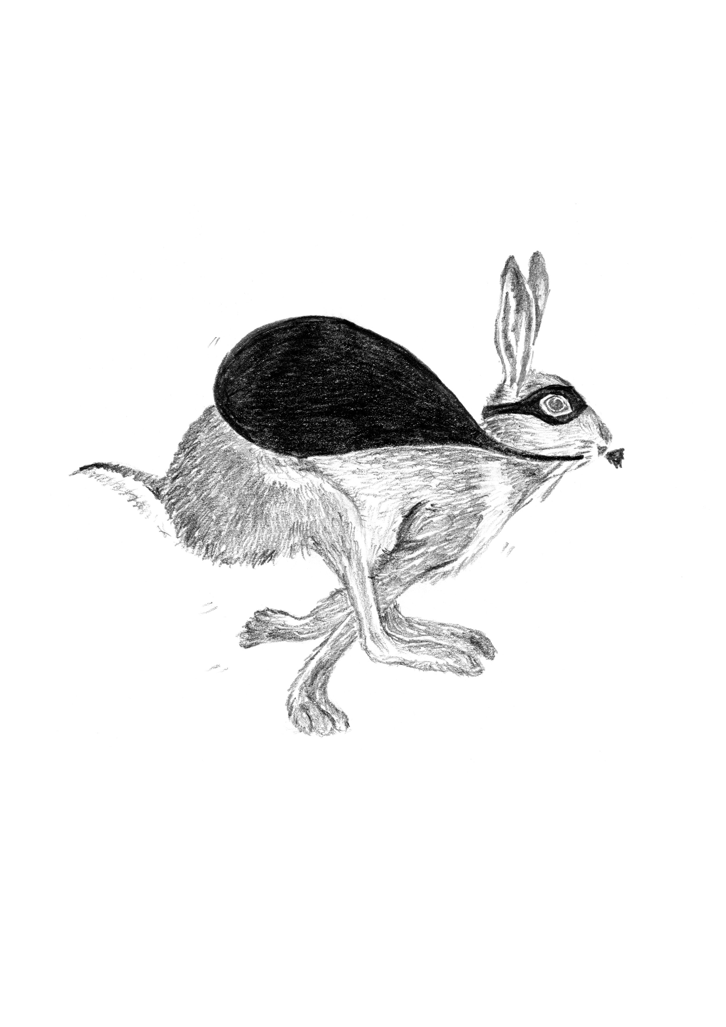 BadHare.jpg
