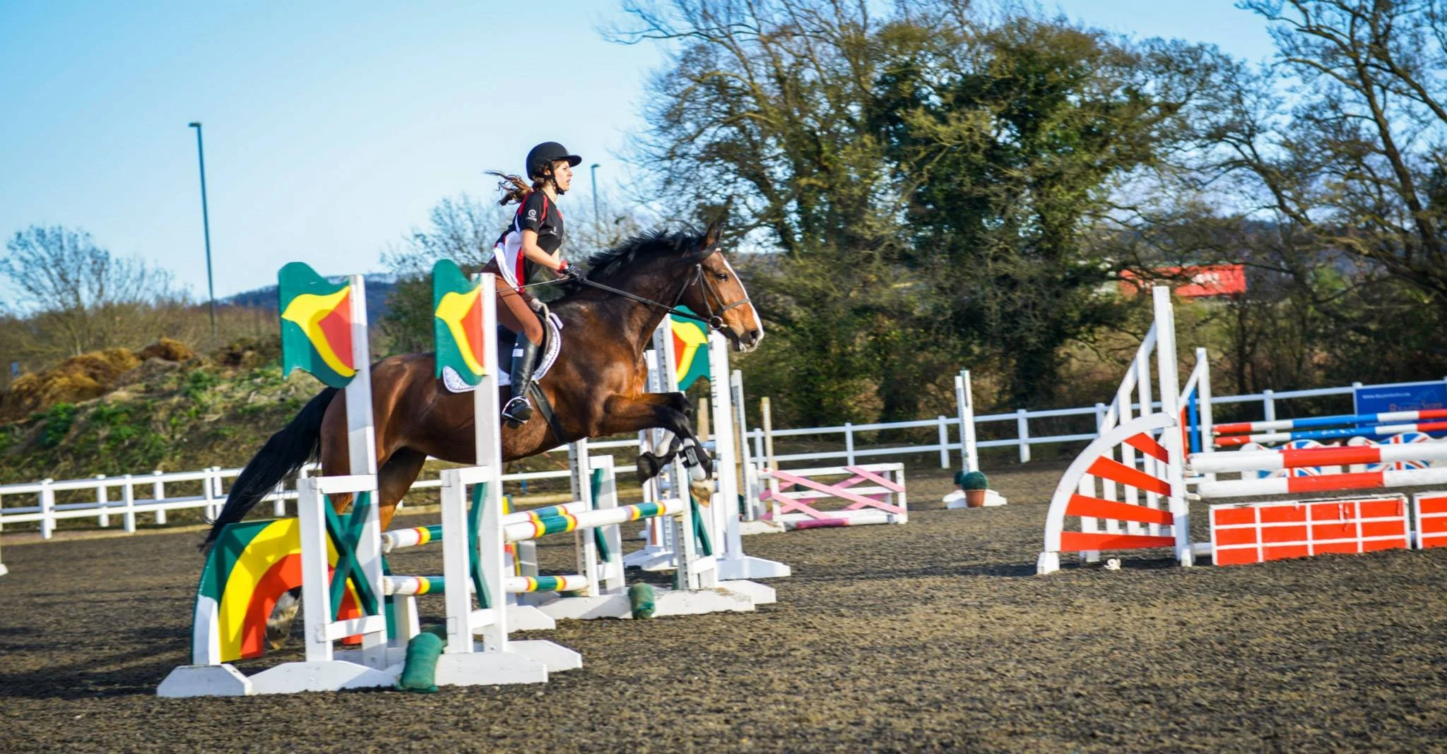 A female equestrian wearing a helmet and riding clothes jumping a horse over colorful show jumping obstacles on an outdoor riding arena with trees in the background.