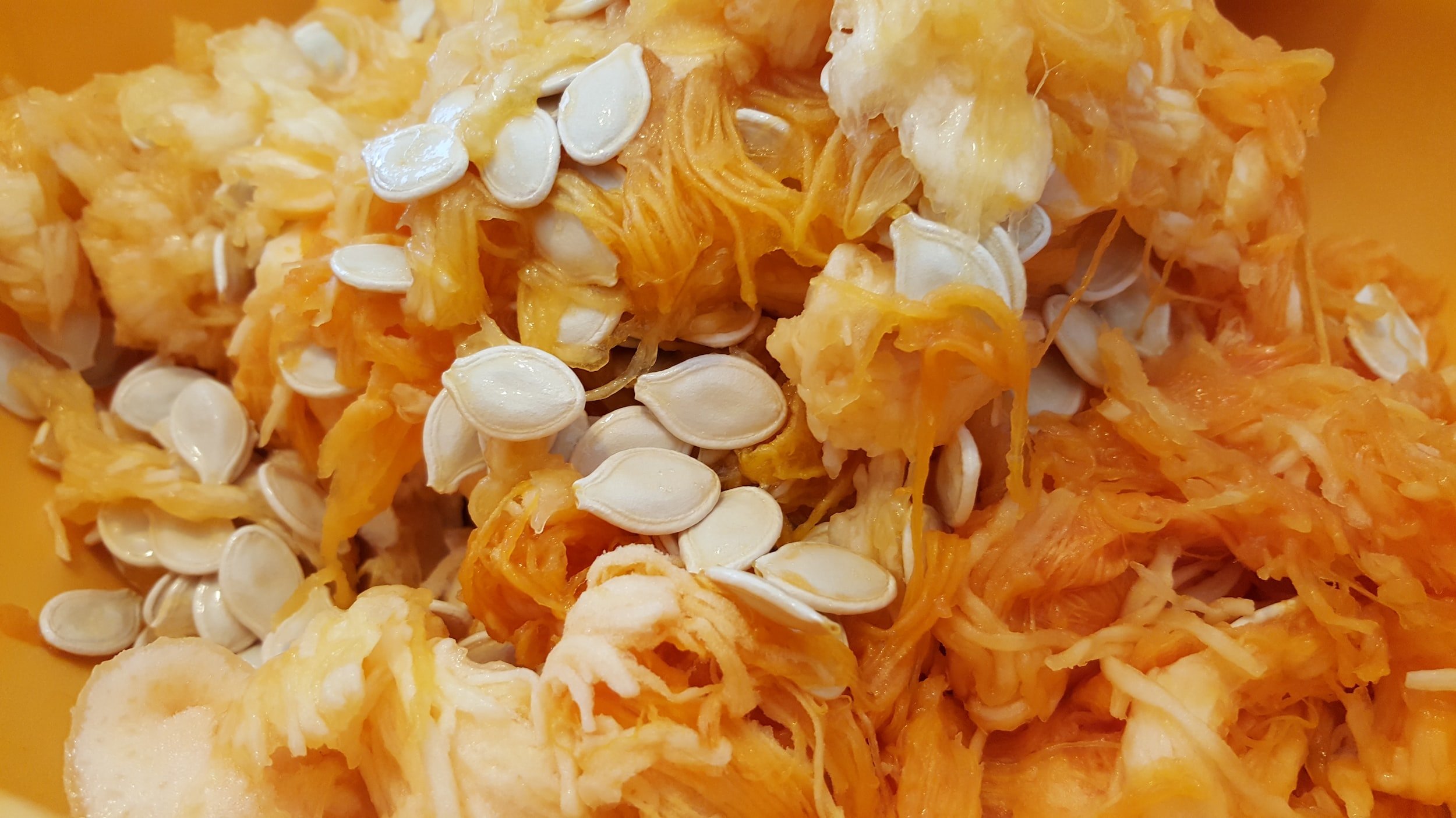 Pumpkin seeds for oil pressing
