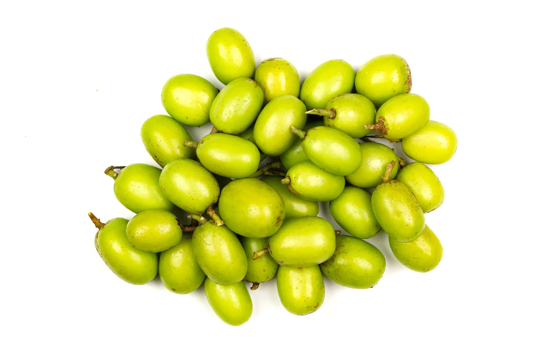 neem seeds cold pressed oil