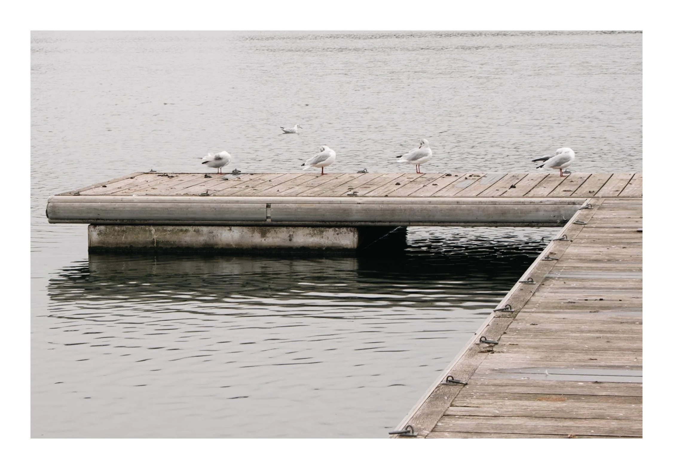 The Quiet Landing