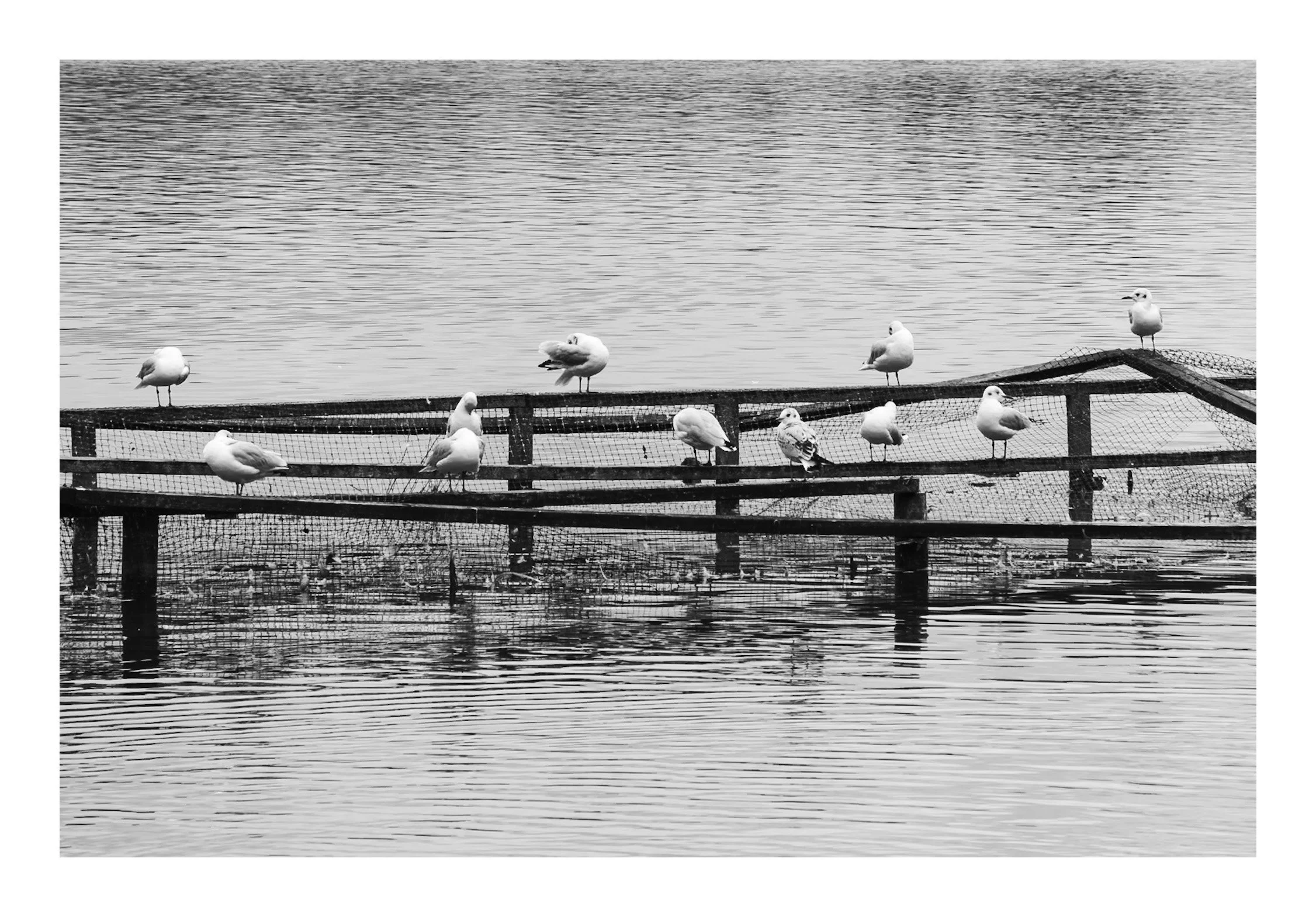The Gathering