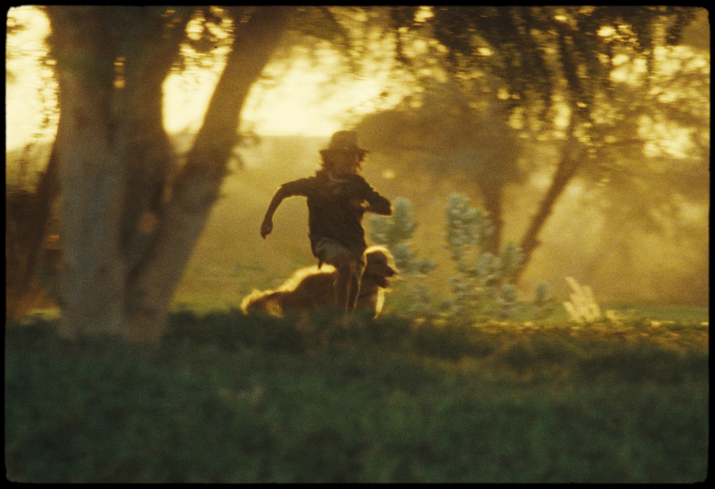 The Wilds_frames_13.jpg