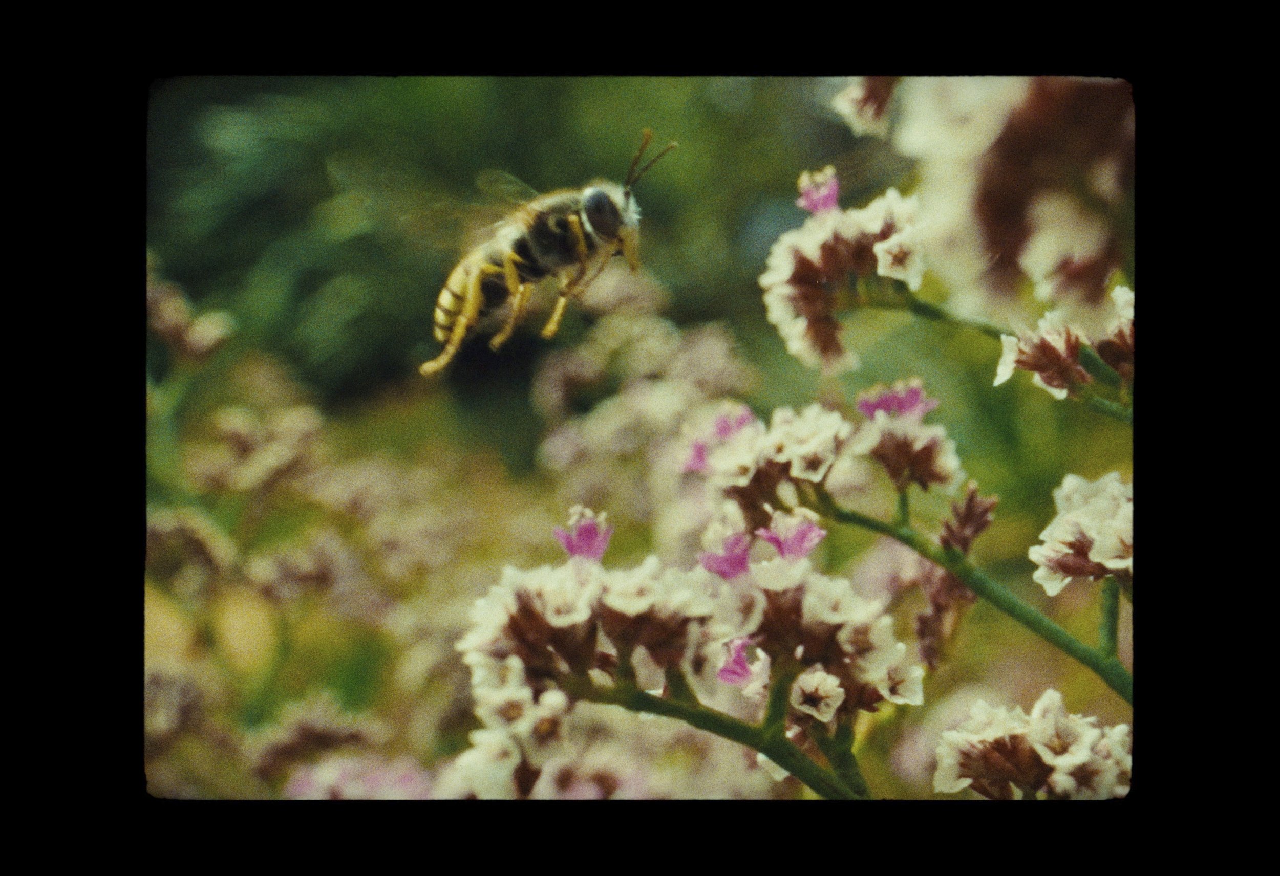 The Wilds_frames_19.jpg