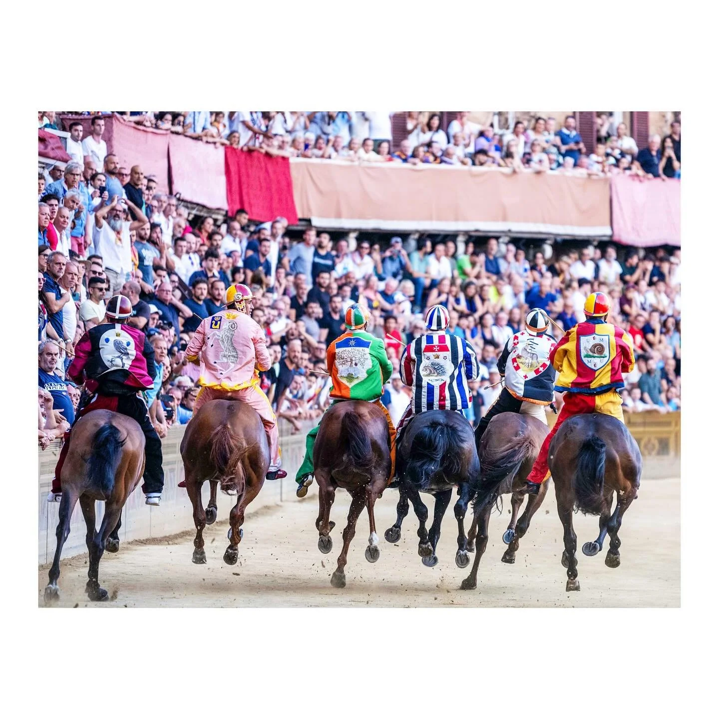 Palio di Siena giclee printed on Canson paper mounted on aluminium and framed. #equineartist #equinepassion #equinelove #notimespentwithhorsesiseverwasted #paliodisiena #palioaugust2024
