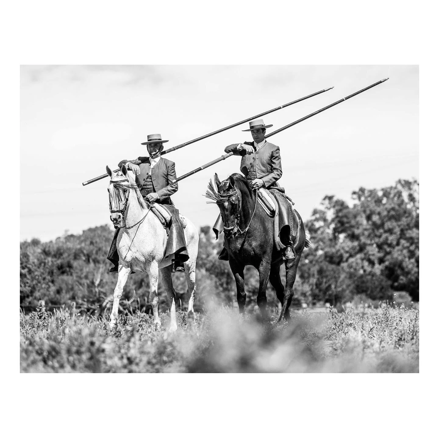 April in Andalusia #notimespentwithhorsesiseverwasted #andalusianhorses #workinghorses #courageoushorses #equinephotography #equs #blackandwhitephotography #nikonz9photography #nikonhorsesphotographer #couldnthavedoneitwithoutyou