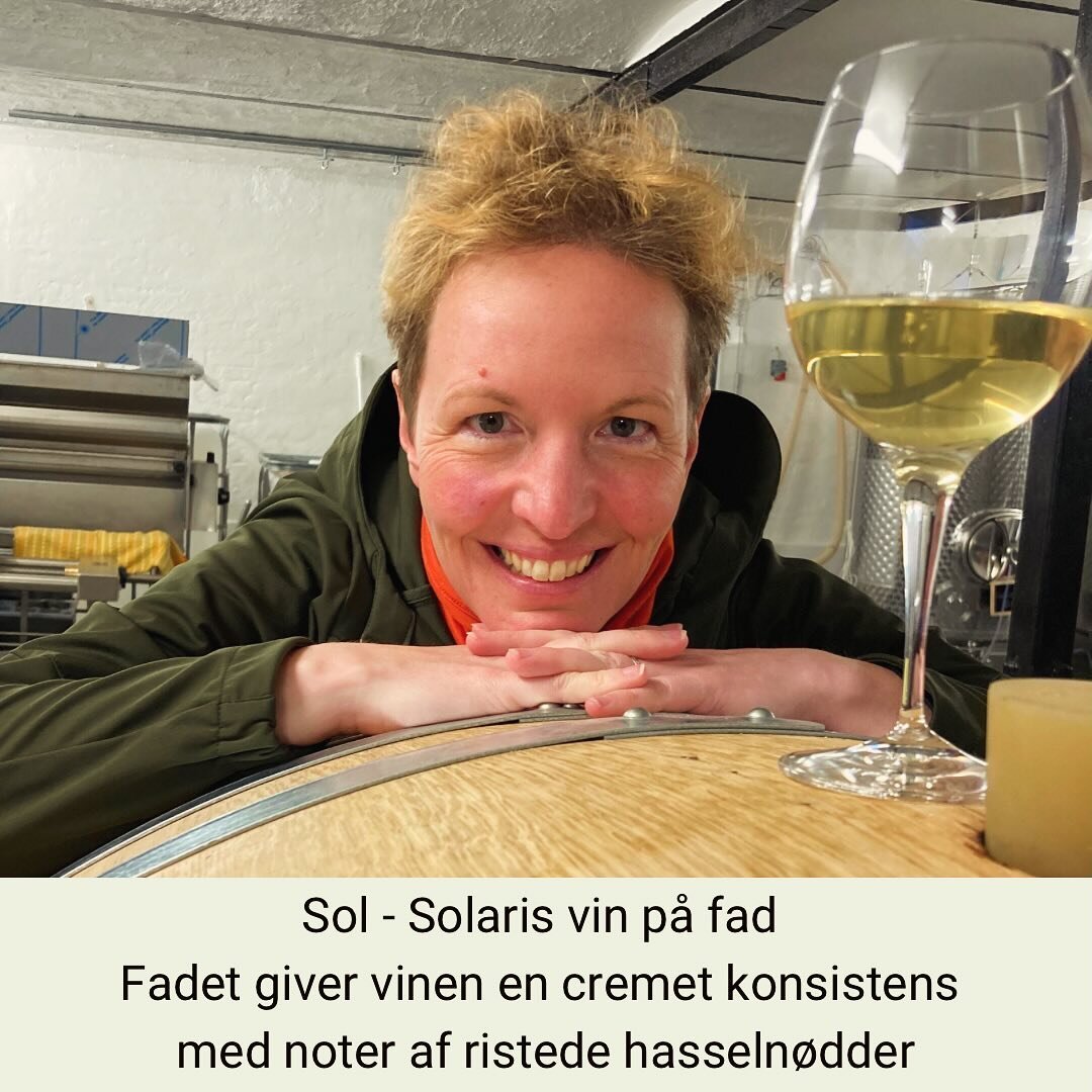 Sol - vores Solaris vin p&aring; fad. Vinen beholder de fleste af de frugtige noter som grapefrugt og p&aelig;re men oveni f&aring;r den ogs&aring; en cremet konsistens med noter af ristede hasseln&oslash;dder. Den perfekte ledsager til letkrydret ly