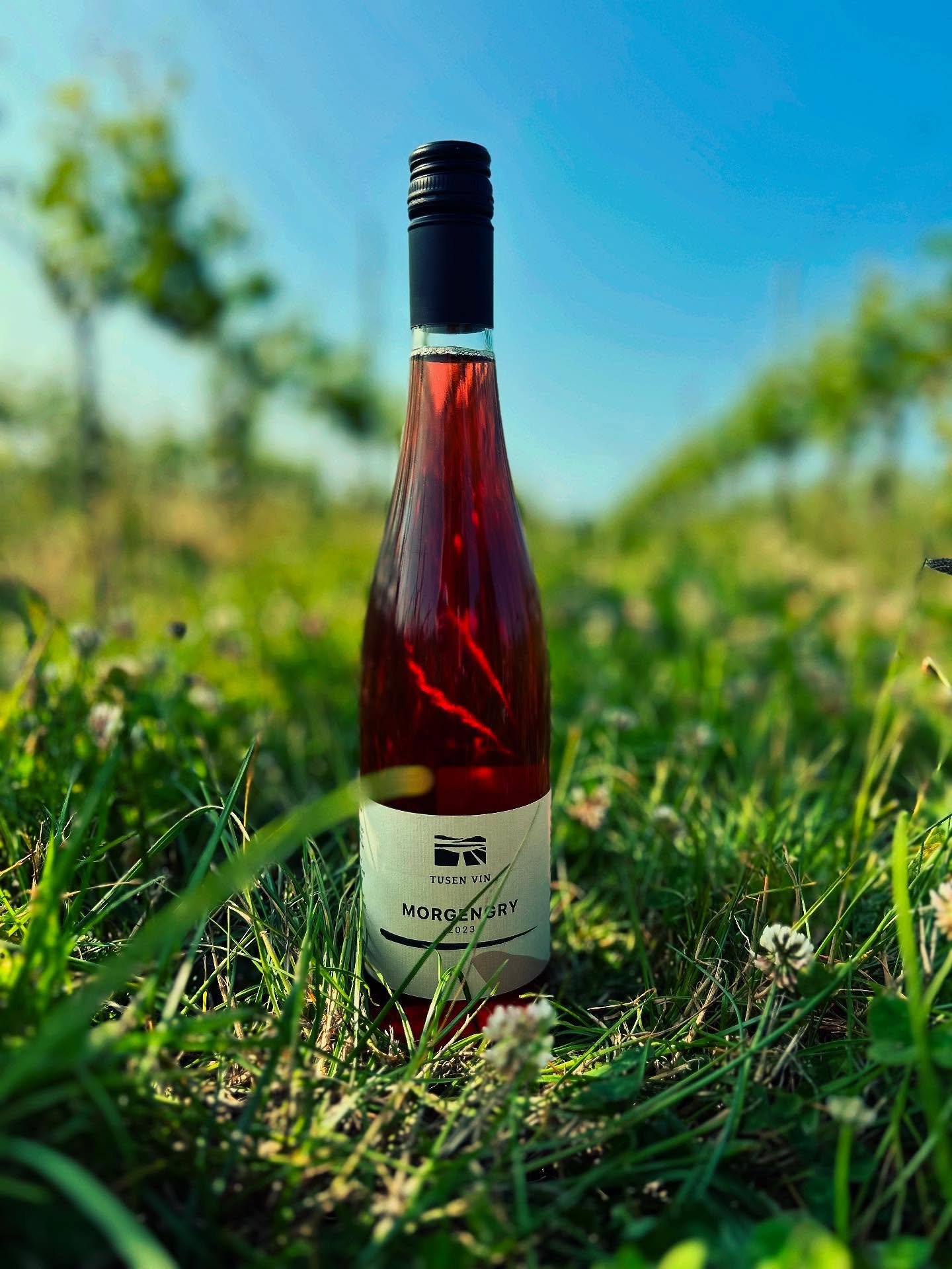 ☀️ Solen skinner, og vi har åbent i dag! Kig forbi til en smagsprøve og find din sommerfavorit 🌿🥂
Vejret kalder på roséen Morgengry eller hvidvinen Engblomst med duft af hyldeblomst – det er ren sommer i glasset 🌸✨