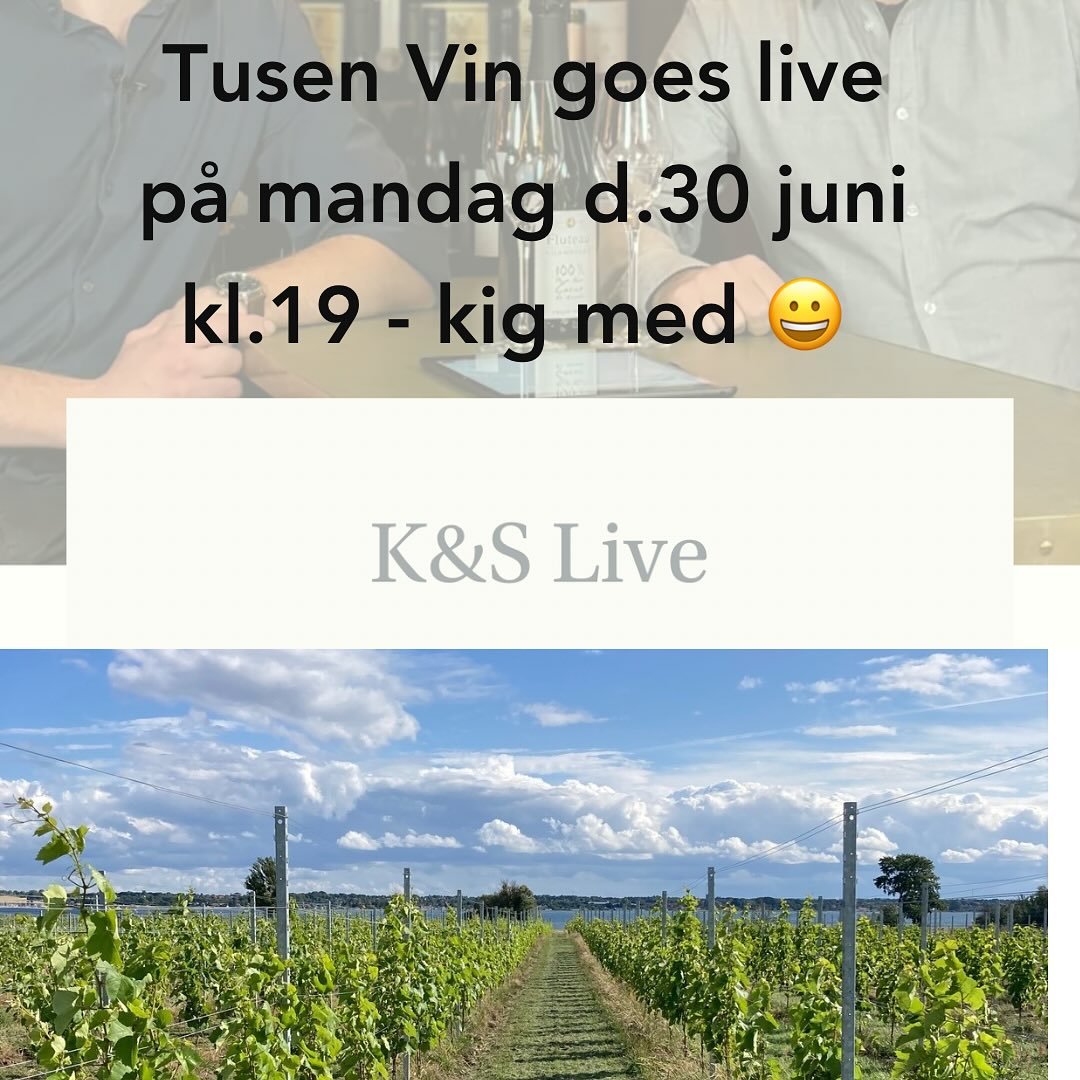 Tusen Vin goes Live! - sammen med Mads fra @kjaersommerfeldt går vi live på mandag d.30 juni kl.19. Kig med hvordan og hør historien om vores vine samt ser hvordan vores vinmark vokser så fint 😊
#danskvin #danskvingår