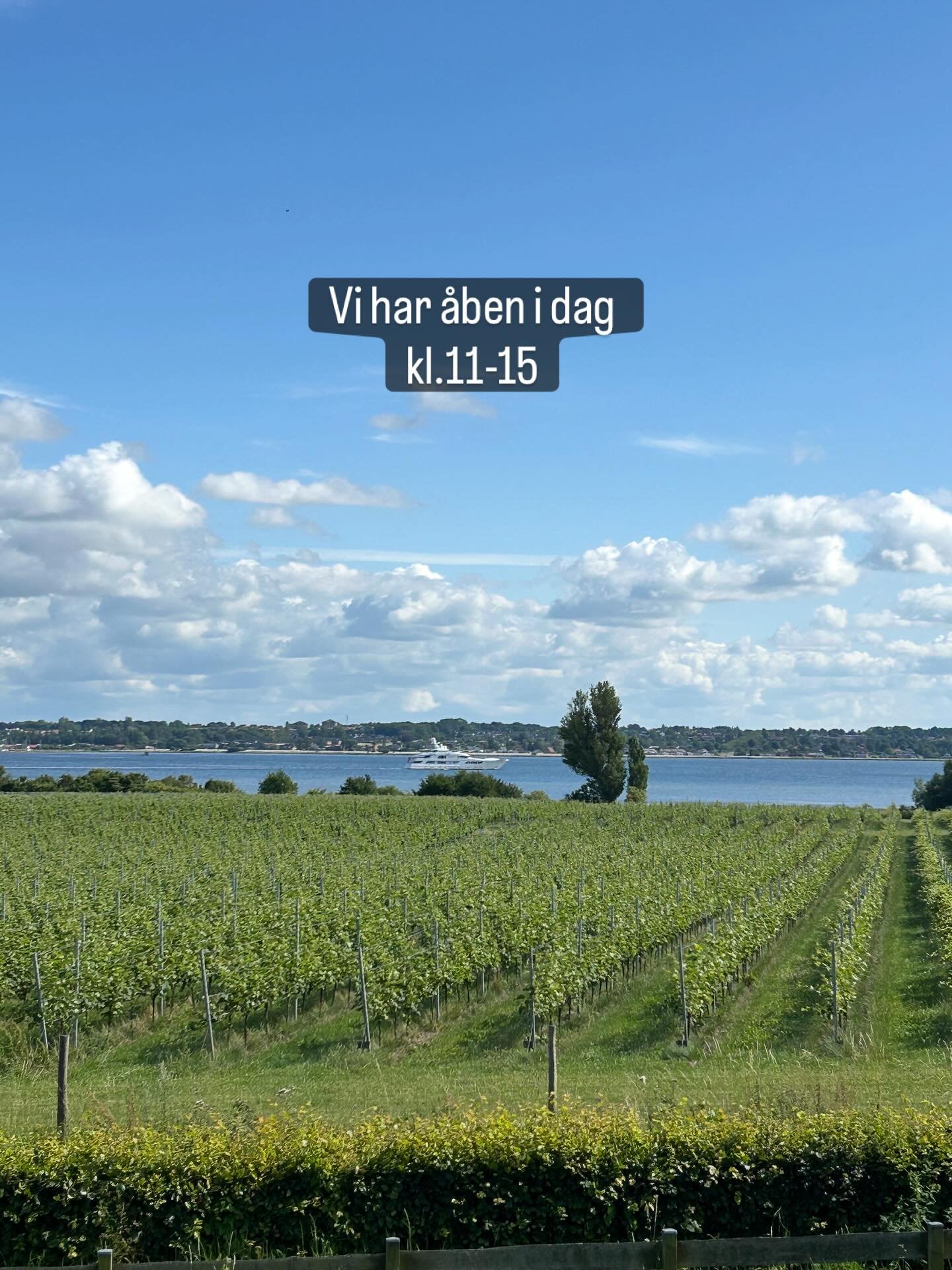 Besøg gårdbutikken i dag mellem kl.11-15 og find favoritten imellem vores vine 😊. Vi har alt fra mousserende til hvid og rosévin.
Pssst…du kan også få en kølig en med så du kan nyde den direkte der