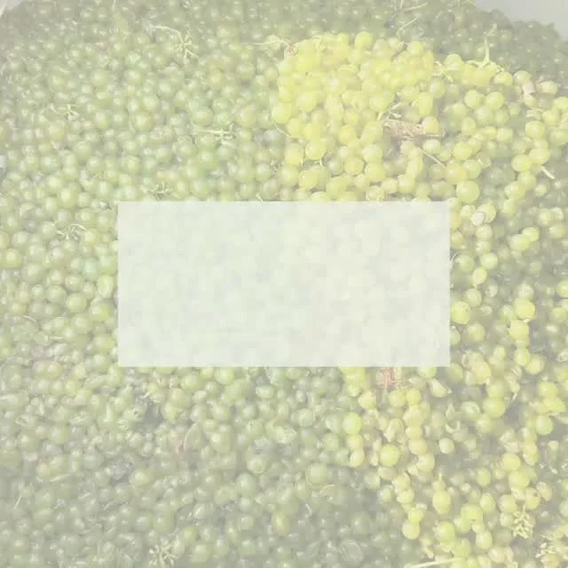 Vi har arbejdet med et nyt produkt siden sidste år … og du kan få fat i det fra på mandag kl.9 😀. 
Det drejer sig om et bedre udnyttelse af ressourcer uden at gå på kompromis med smag og aroma ☺️.
#danskvin #dans