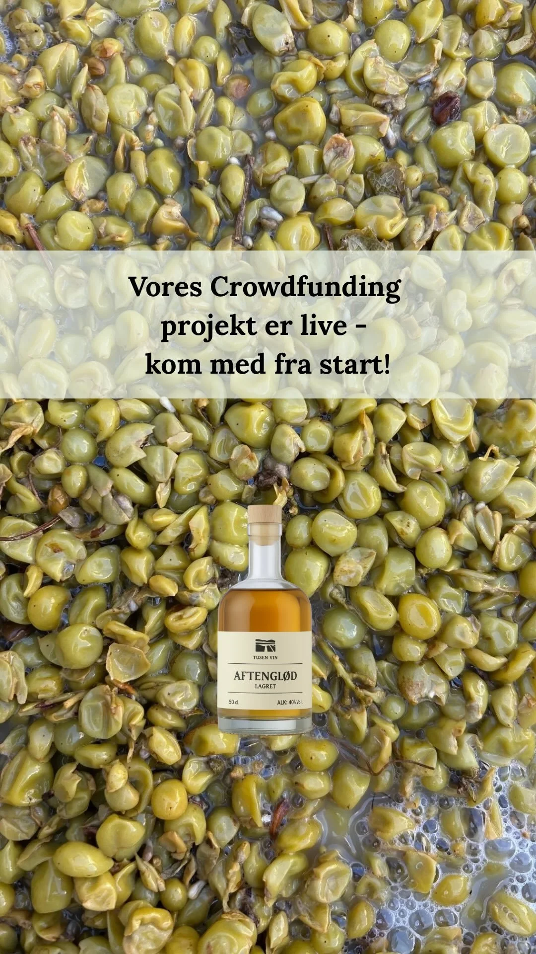 Fra drue til dråbe – og nu til Aftenglød. ✨
Vi har givet vores Muscaris-druekvas nyt liv og skabt en druespiritus, der har hvilet på egetræ og fået sin egen sjæl.
Nu kan du støtte vores rejse gennem @