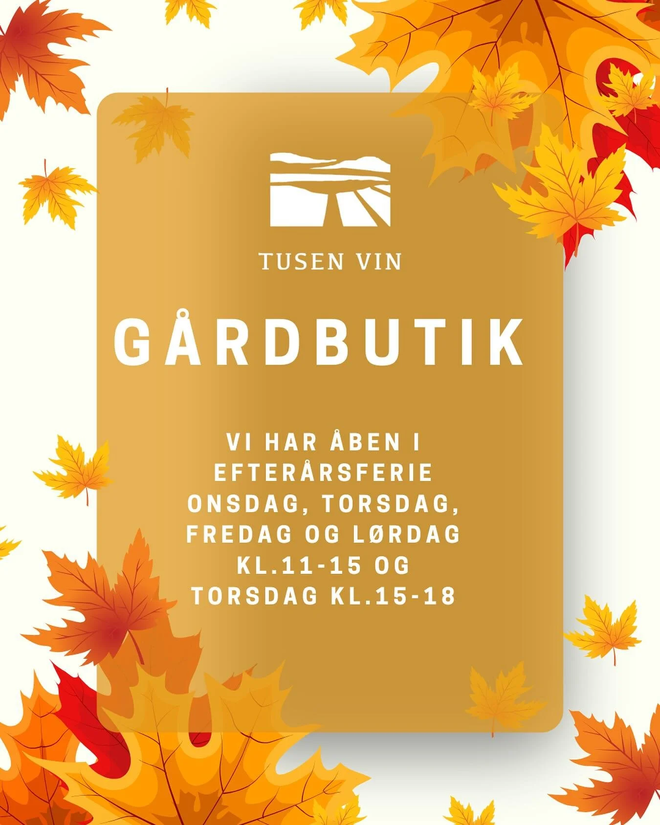 🍂 Efterårsferie hos Tusen Vin 🍇
Vi holder åbent onsdag, torsdag, fredag og lørdag kl. 11–15 – og torsdag helt til kl. 18!
Kom forbi vingården, smag på vores vine og spiritus, og få en snak om, hvord
