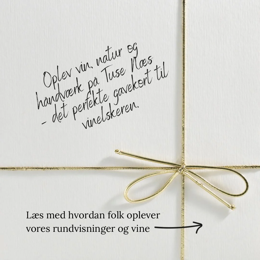 ✨ Giv en oplevelse, der kan m&aelig;rkes ✨

Et gavekort til en rundvisning hos Tusen Vin er mere end en gave &ndash; det er tid sammen, gode historier og et kig ind i vores lille &oslash;kologiske vinunivers. 🌿🍇

Swipe 👉 og se, hvad tidligere g&ae