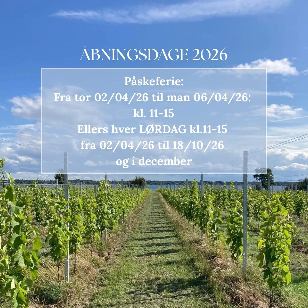 🍇 &Aring;BNINGSTIDER 2026 hos Tusen Vin 🍇

Vi gl&aelig;der os til at byde jer velkommen i vinmarken igen i 2026 🌱✨

🕰 &Aring;bningstider:
🐣 P&aring;ske: 2.&ndash;6. april kl. 11&ndash;15
☀️ Hver l&oslash;rdag: 2. april &ndash; 18. oktober kl. 11
