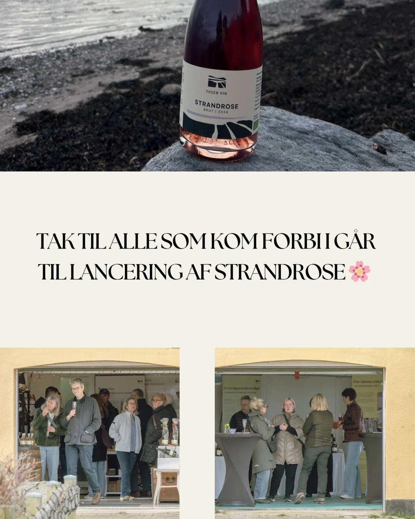 🌸 Tak for i g&aring;r! 🌸

Det var s&aring; hyggeligt at se jer til lanceringen af Strandrose. Tak fordi I kom forbi, smagte med og hyggede med os &ndash; det gjorde eftermiddagen rigtig dejlig. 🥂

Vi gl&aelig;der os til at dele flere vinoplevelser
