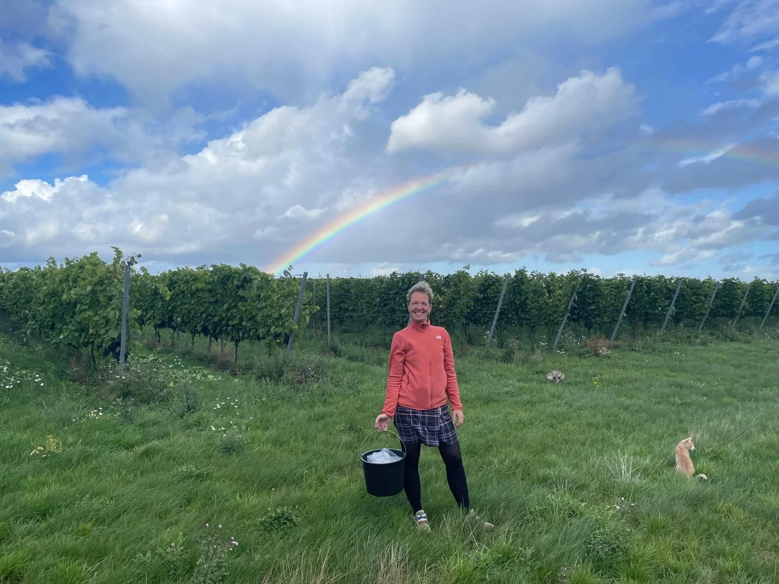 ☀️ Solen er tilbage! 🍇

Efter nogle dage med regn og regnbuer er vi ekstra glade for igen at se solen over vinmarken. 🌱☀️

Regnen har givet vinstokkene det vand, de har brug for &ndash; og nu g&oslash;r solens varme og lys det muligt for druerne at