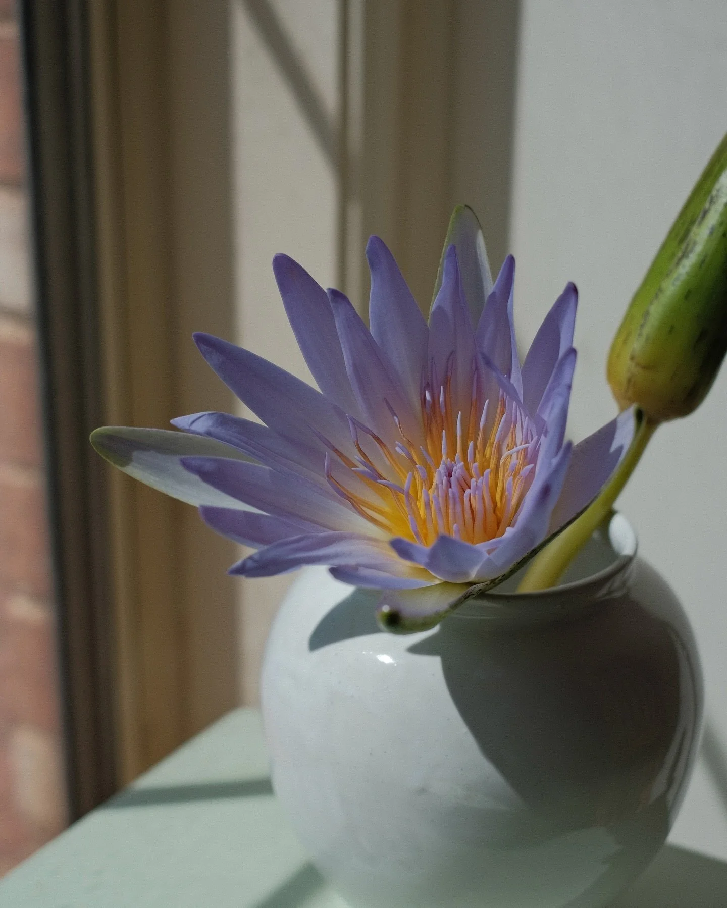 Immortalising this fleeting lotus in one of my vases on the feed. 🌸 I&rsquo;ve always had a soft spot for flowers (bee lookin ahh), but ikebana is still new territory for me. Looking forward to exploring the crossover between ceramics and flower arr