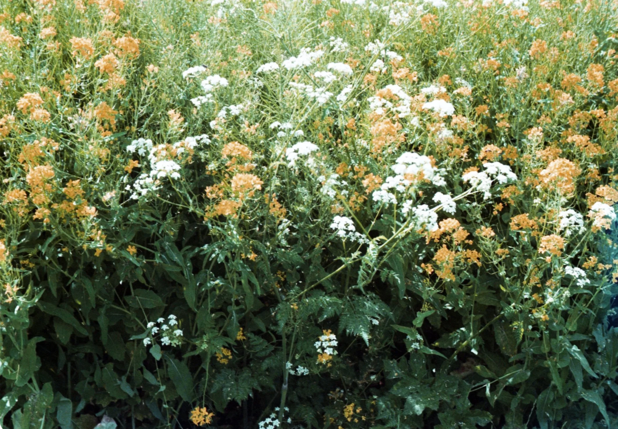 img20220627_12224758.jpg
