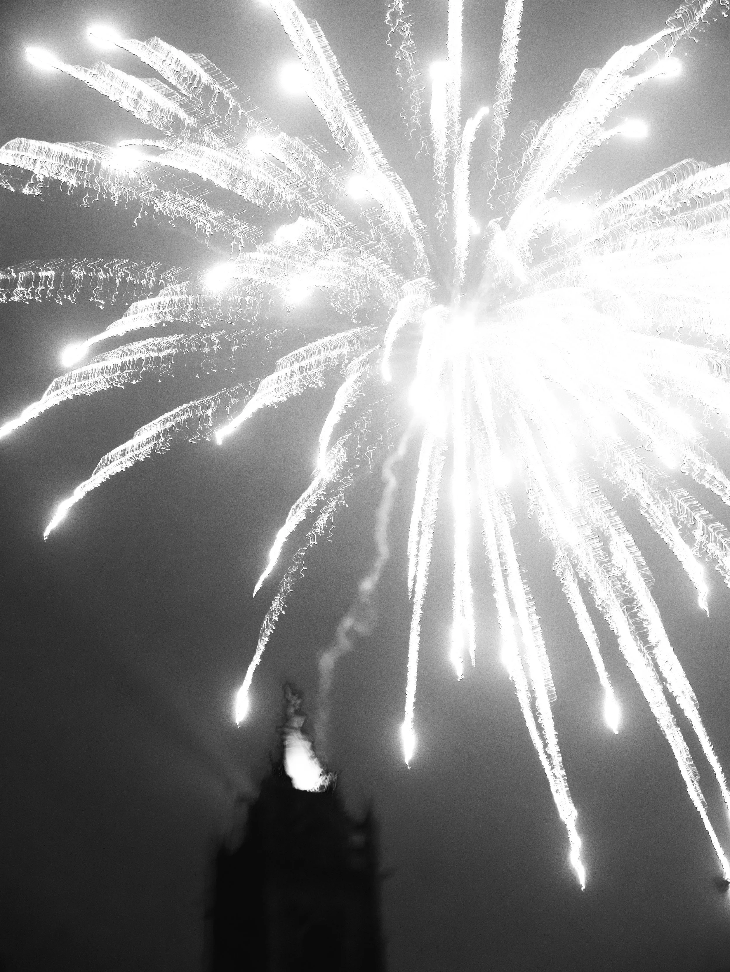 P2670009.jpg