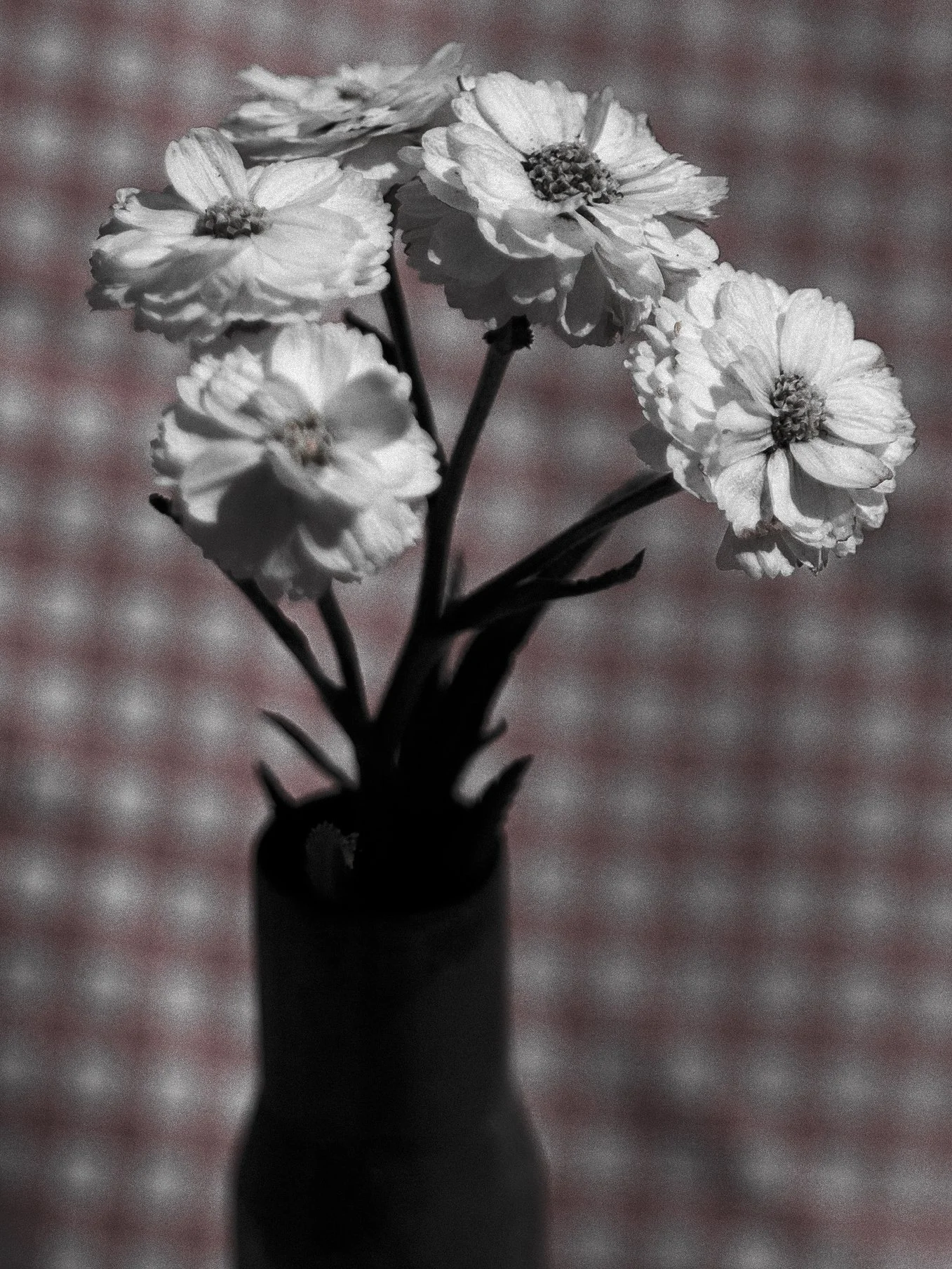 flower on cloth.jpg