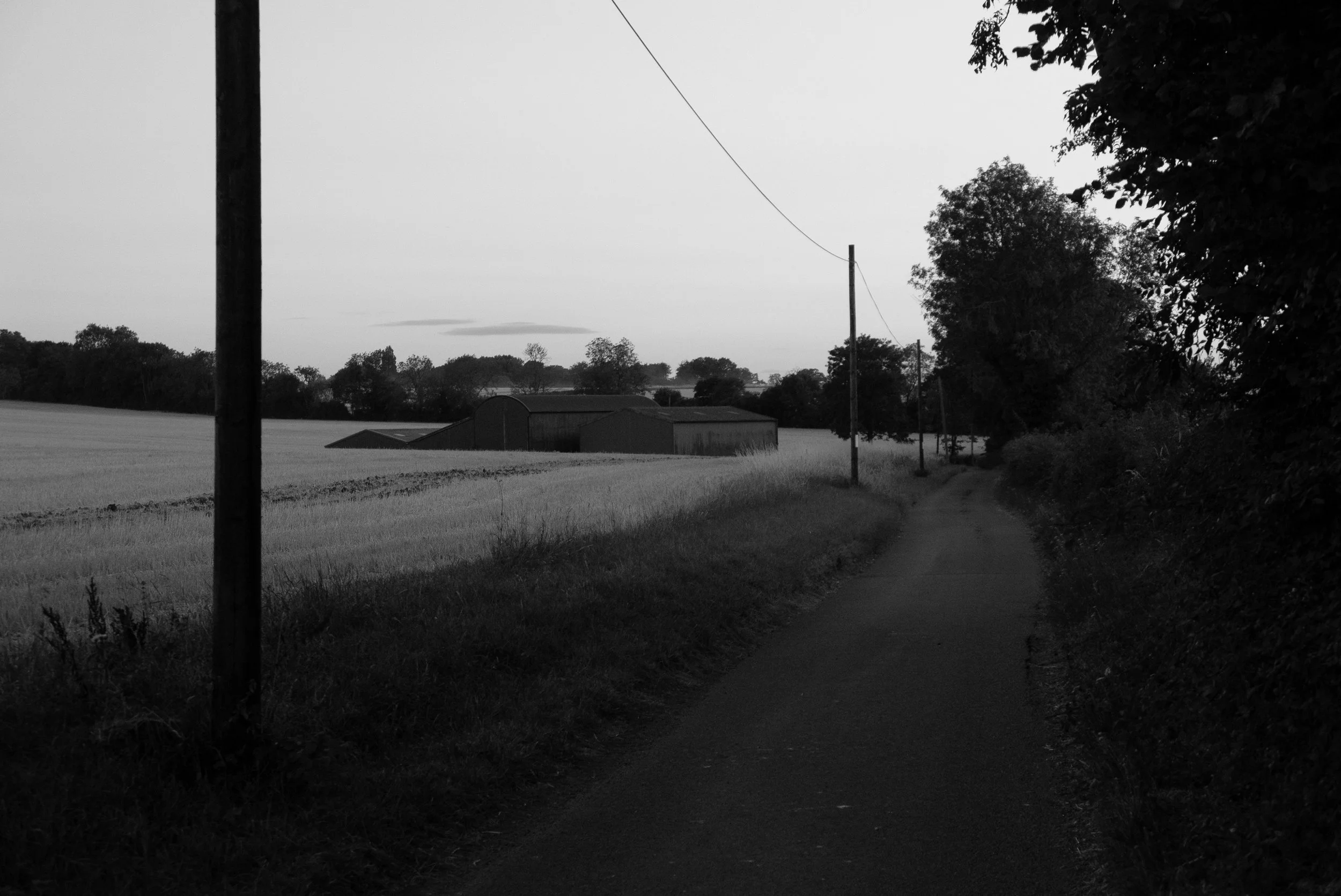P4160238.jpg