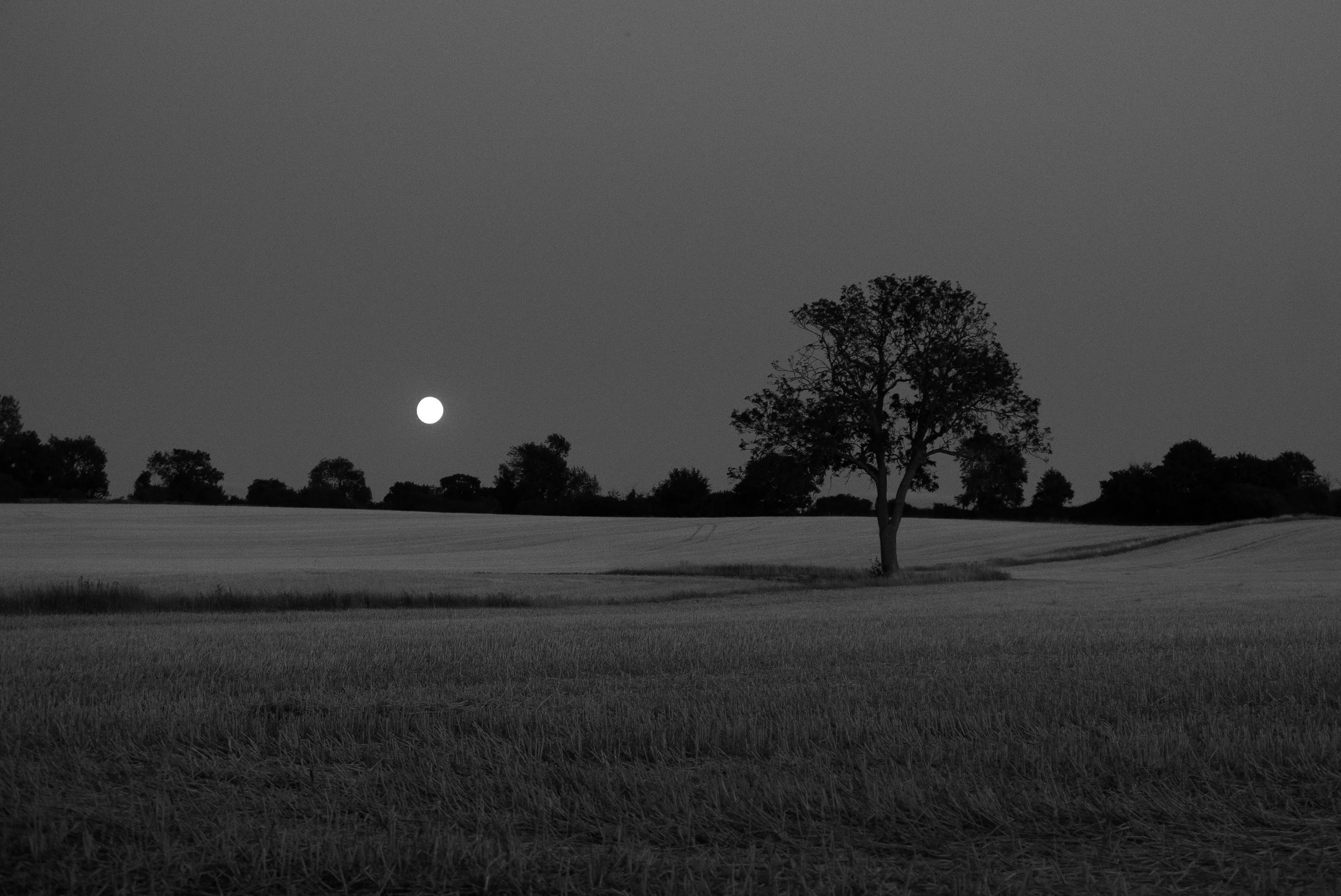 P4160244.jpg