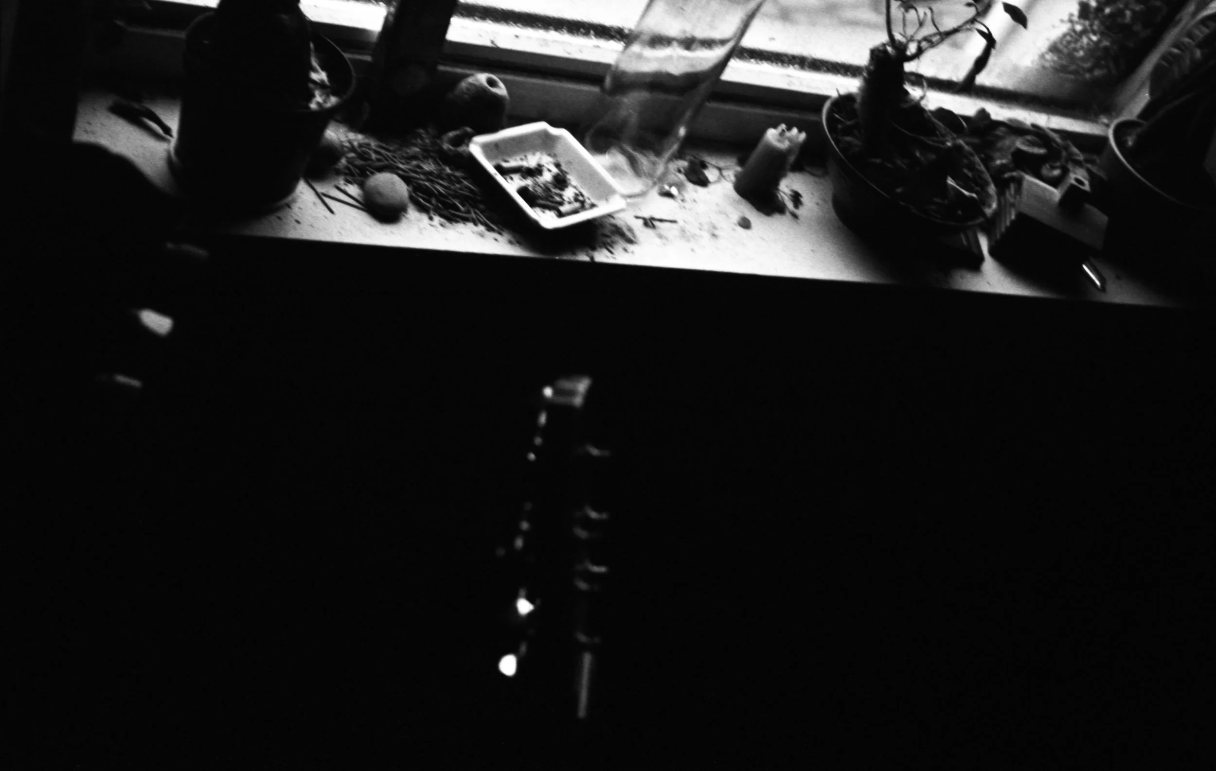 img20240125_16493205.jpg