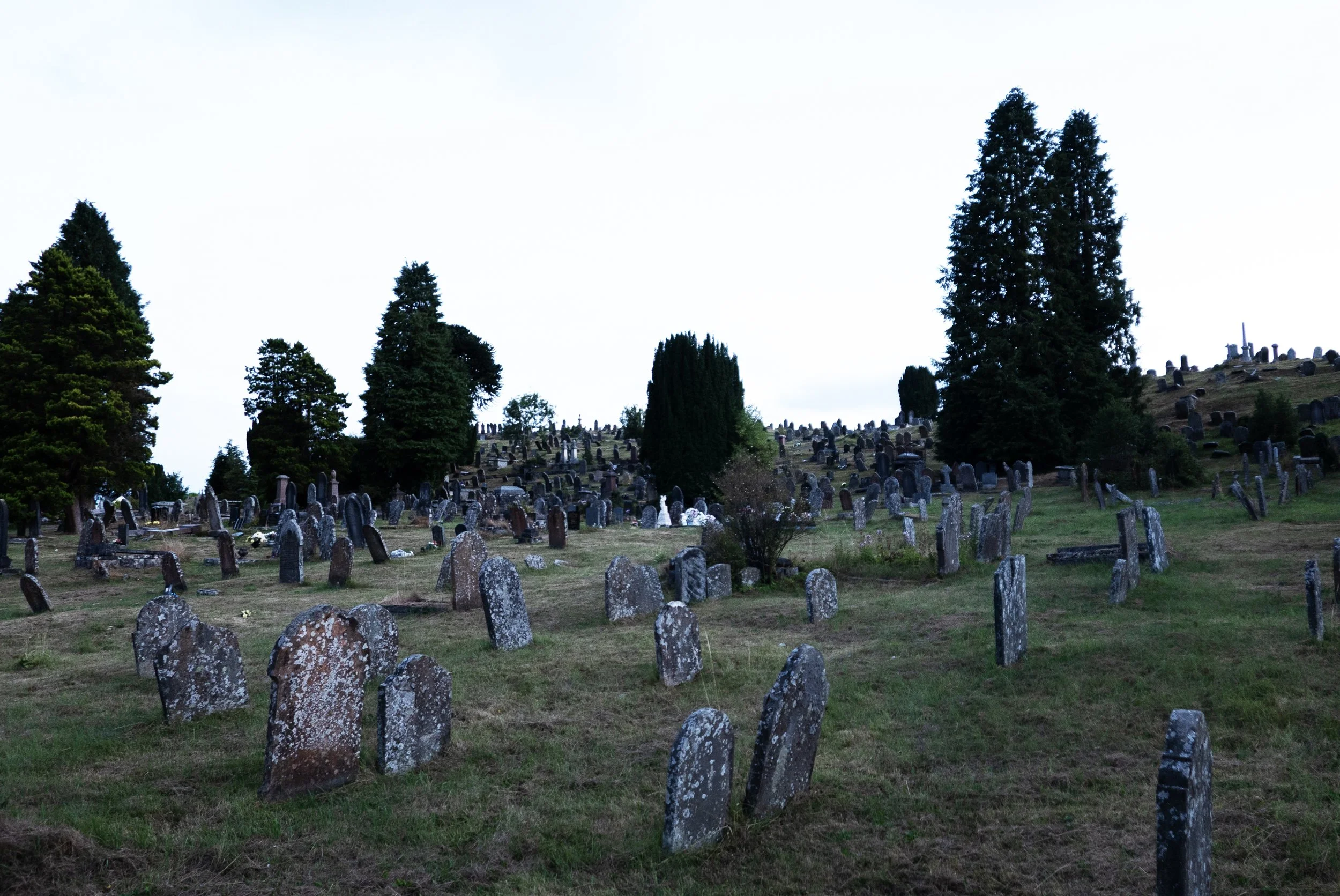 P4160420.jpg
