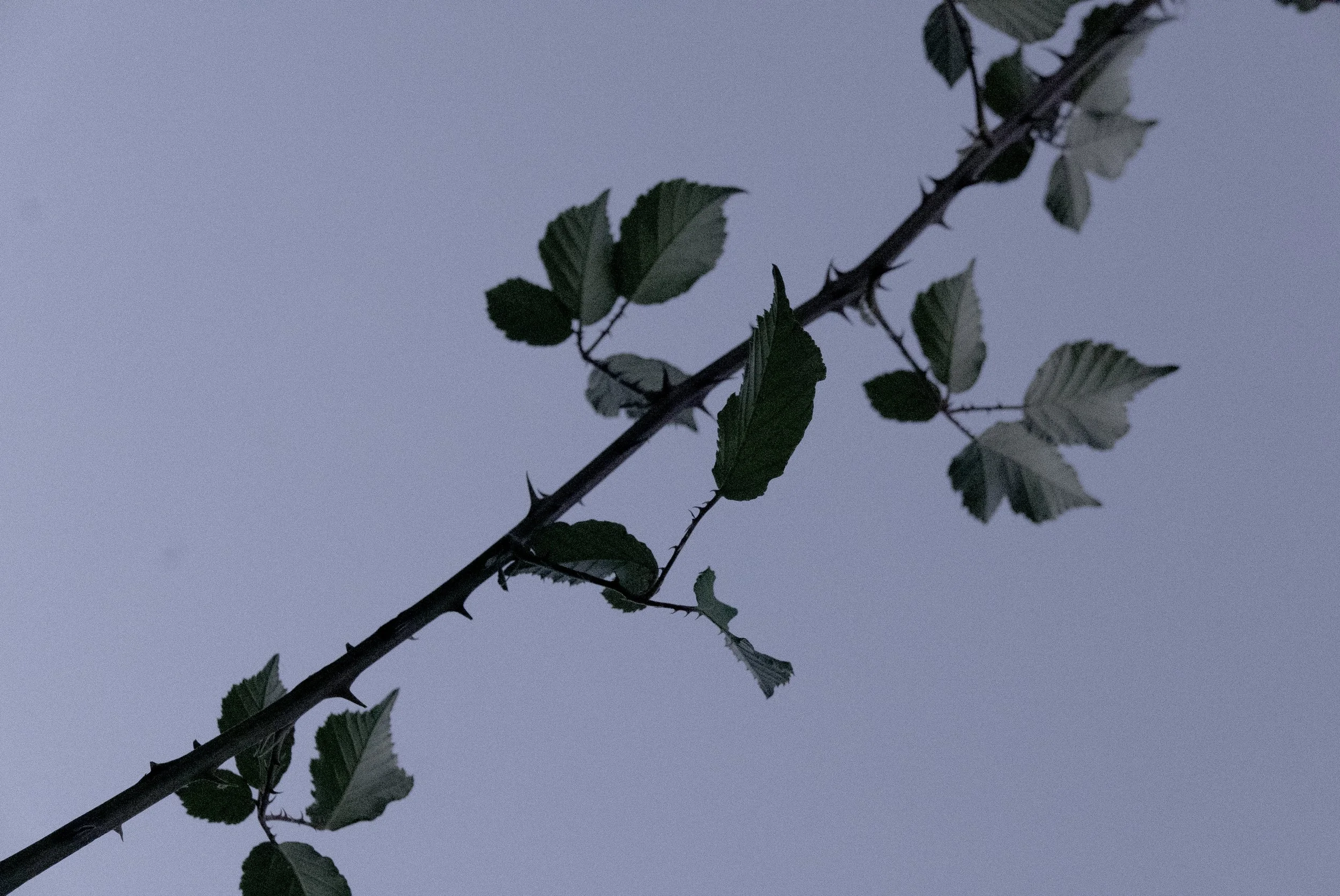 P4160218.jpg