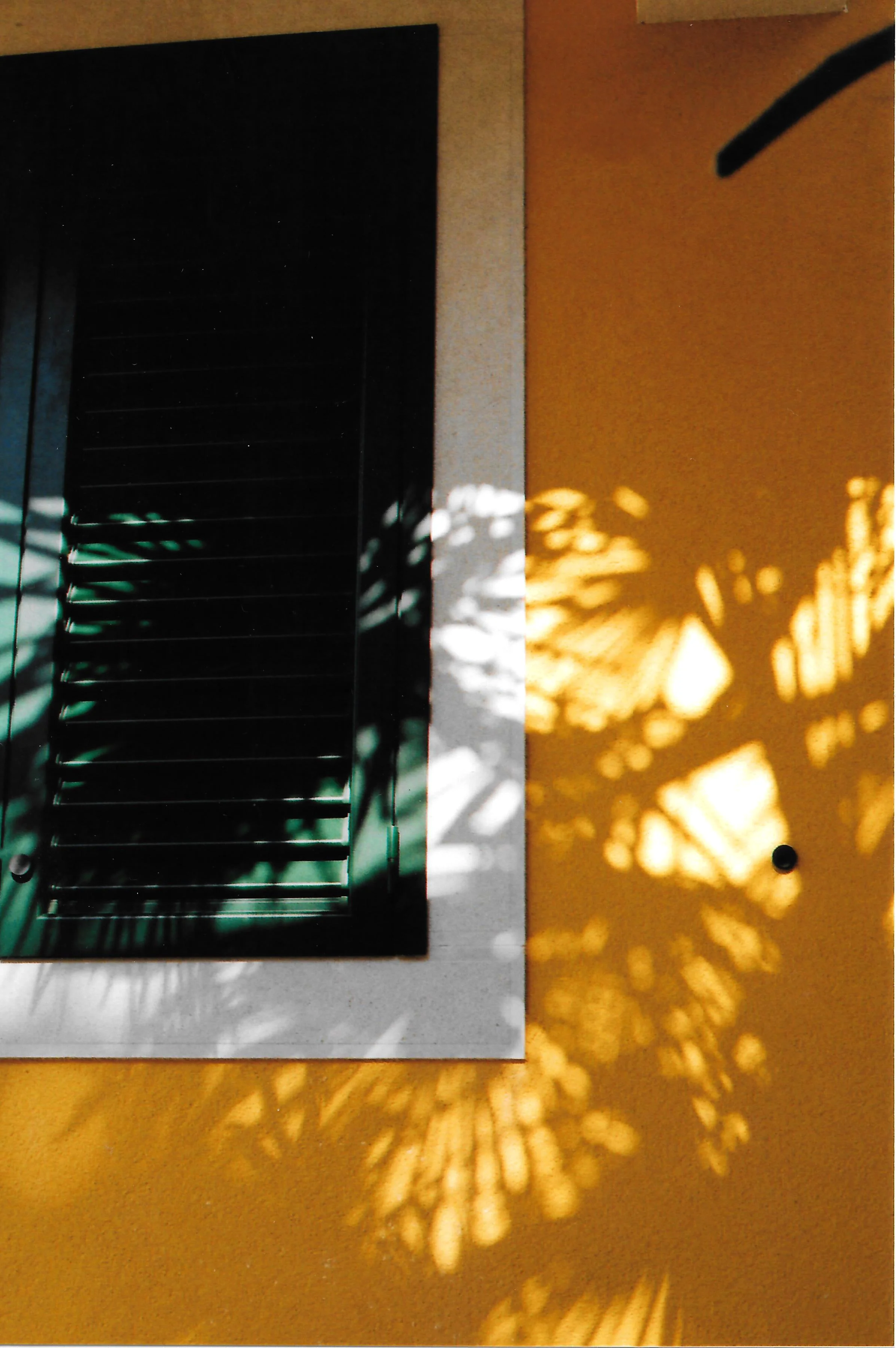200002 - Copy.jpg