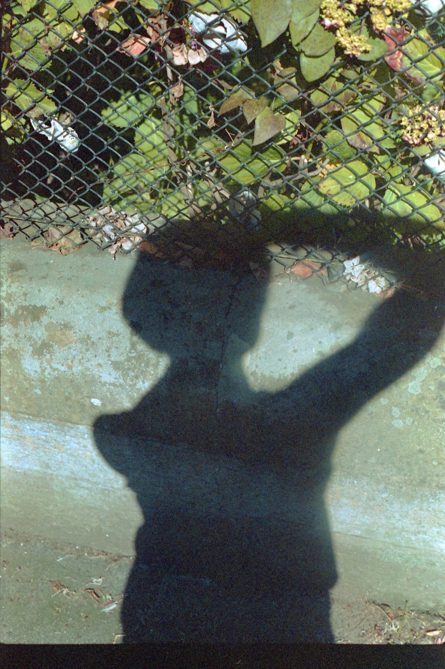 img20220921_15441702.jpg