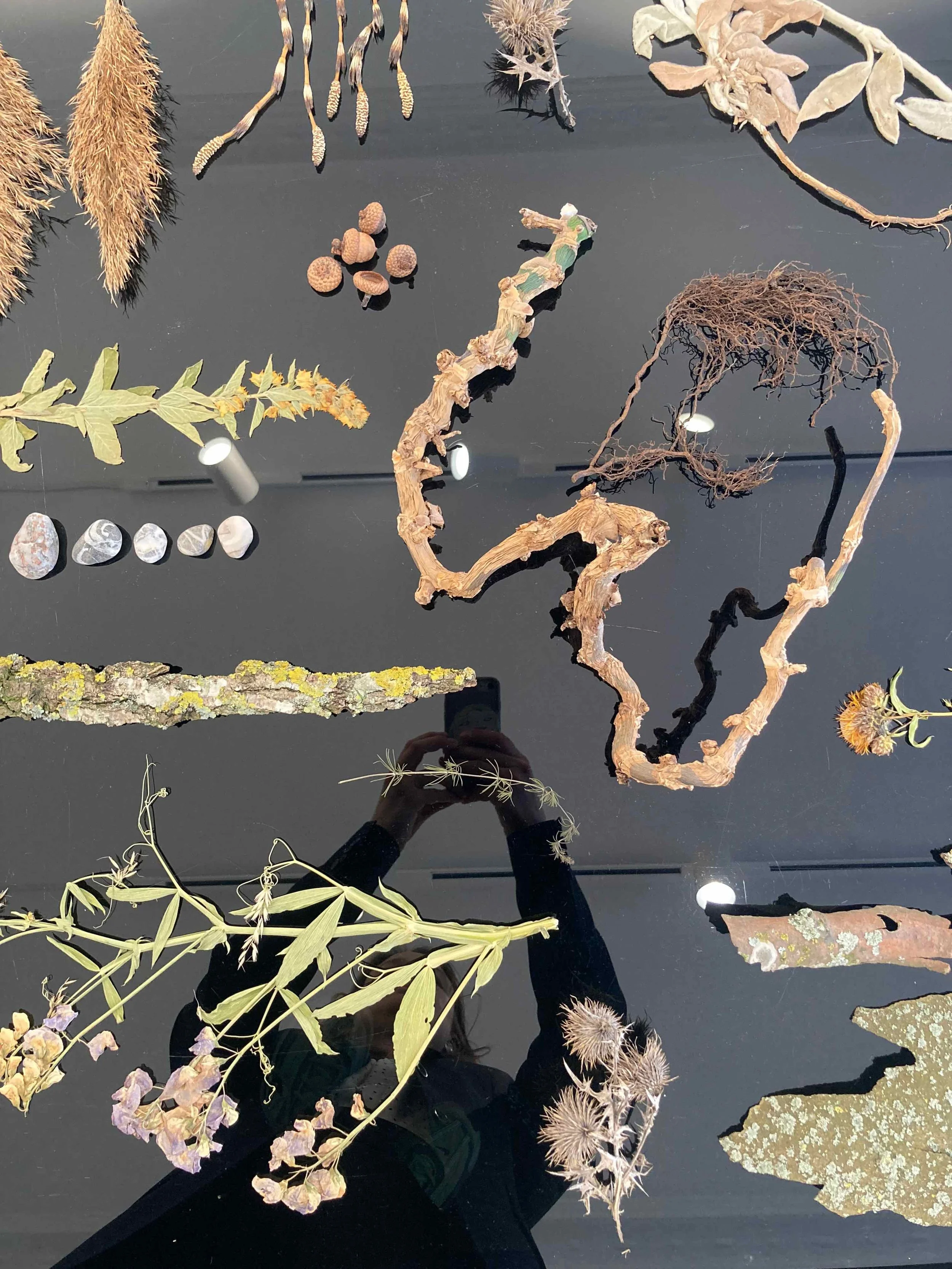 mette-grøngaard-natursans-workshop-naturelementer.jpg