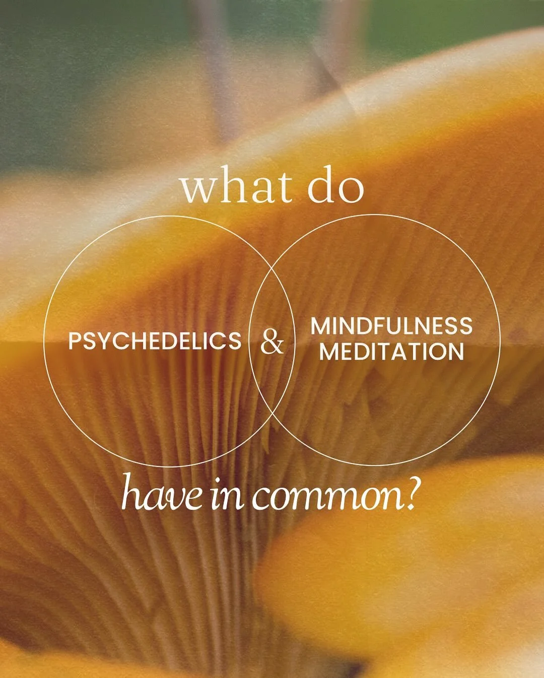 ✨ What do psychedelics and mindfulness meditation have in common?

More than you might think.

Both practices may reduce activity in the Default Mode Network (the brain&rsquo;s &ldquo;ego center&rdquo;), boost neuroplasticity, and shift our brainwave