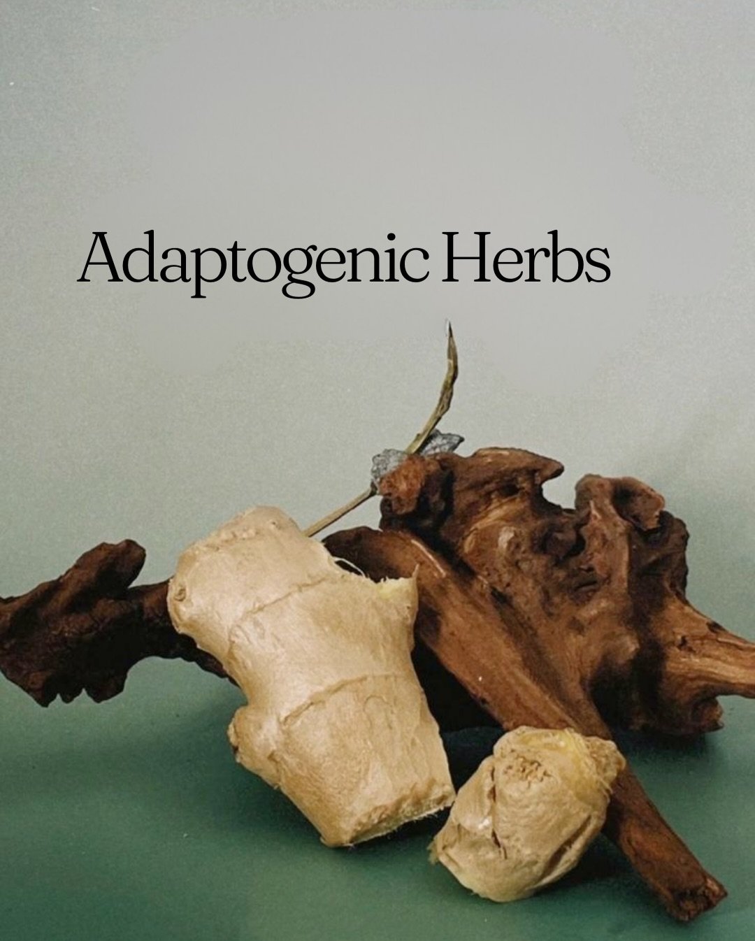 Adaptogenics are herbs and botanicals that support the body&rsquo;s ability to respond to stress.

Rather than targeting a single pathway, they work across multiple systems involved in stress regulation, including the nervous system, HPA axis, immune