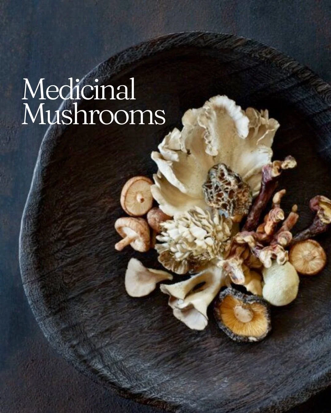Medicinal mushrooms are having a moment&hellip; but they are not new, and they are not magic.

These are non-psychedelic fungi used for specific bioactive compounds like beta-glucans and triterpenes that interact with immune, inflammatory, metabolic,