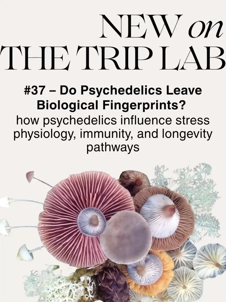 We know psychedelics change the brain. But the research is starting to suggest that the effects may reach much further.

Psilocybin has been studied for changes in cortisol, inflammatory markers, immune signaling, DNA methylation, brain connectivity,
