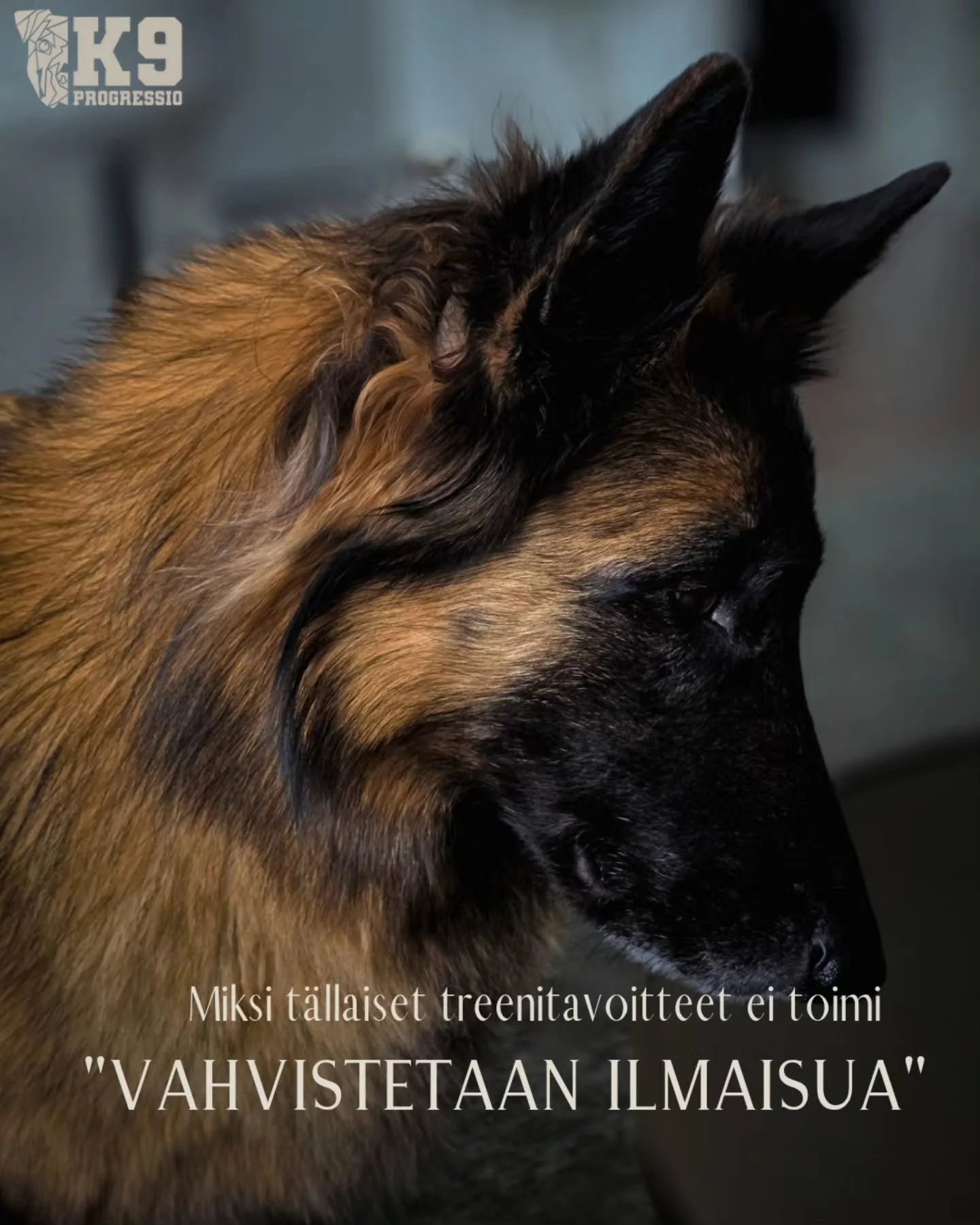 Hyv&auml; treenisuunnitelma ehk&auml;ise jaamimisen ja ep&auml;johdonmukaisuutta treenitilanteissa. Tee ajatusty&ouml; valmiiksi asti ennen koiran ottamista treenitilanteeseen tai jopa ennen treeneihin l&auml;ht&ouml;&auml;.

Kiireess&auml; tehdyt ra