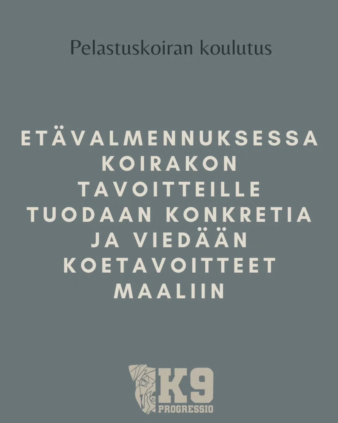 Kiitos luottamuksesta valmennettavat ❤️

Oon saanut tehd&auml; yhteisty&ouml;t&auml; upeiden koirakoiden ja omistautuneiden ohjaajien kanssa. Et&auml;valmennuksien alettua j&auml;nnitin kovasti, ett&auml; miten t&auml;m&auml; paletti t&auml;st&auml; 