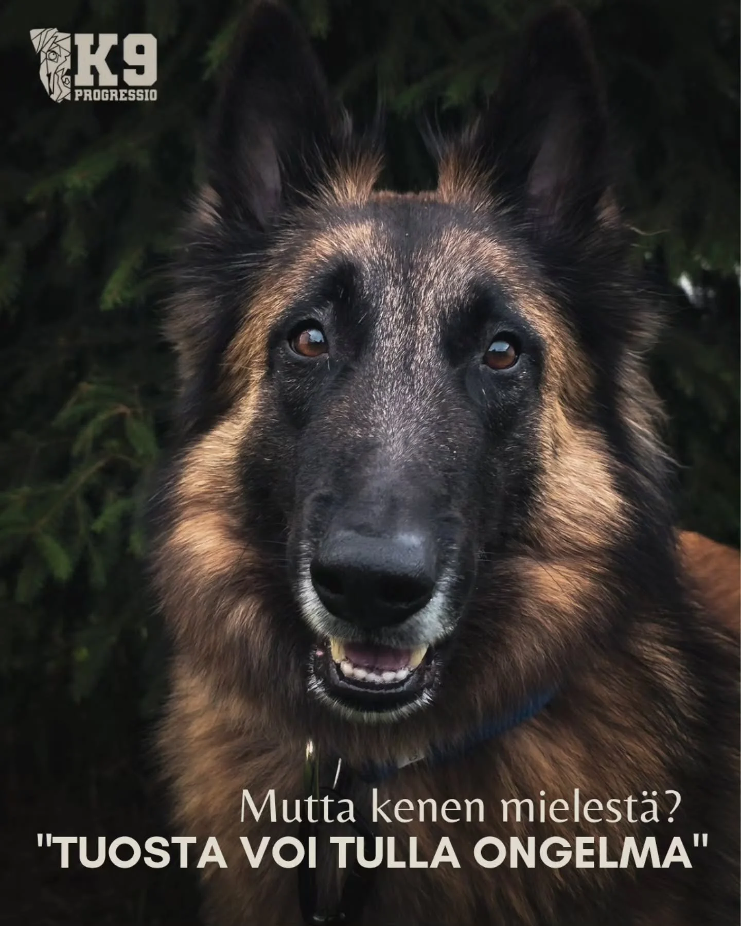 &quot;Tuosta voi tulla ongelma&quot;, kun mun koira hyppii innostuessaan vasten, treenataan paljon yksin tutussa hallissa tai koira saa itse p&auml;&auml;tt&auml;&auml; poistuuko ep&auml;miellytt&auml;v&auml;st&auml; tilanteesta.

Se miss&auml; ongel