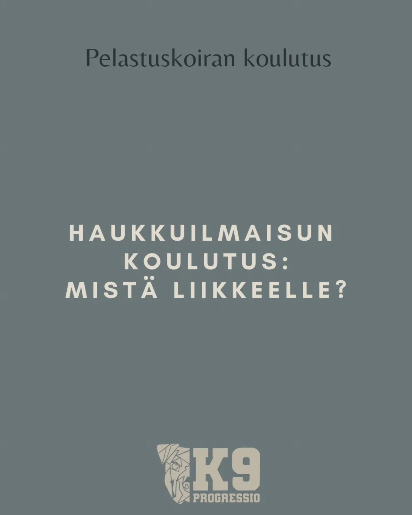 Tavoitteena haukulla ilmaiseva koira henkil&auml;etsint&auml;&auml;n? N&auml;iden yll&auml;mainuttujen steppien lis&auml;ksi yksil&ouml;n taipumukset ja ominaisuudet merkitsev&auml;t paljon. Vaikka k&auml;yt&auml;nn&ouml;ss&auml; kaikki koirat haukku