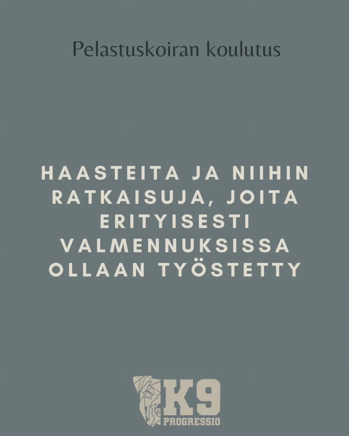 Asioita,  joita ollaan valmennuksissa pohdittu erityisen paljon ja ratkaisuja niihin ⬇️

➡️Haukkuilmaisu, vaikka ydink&auml;yt&ouml;s onkin kohtuullisen yksinkertainen, sen valjastaminen ilmaisuk&auml;ytt&ouml;&ouml;n vaatii monta yksityiskohtaa. Haa