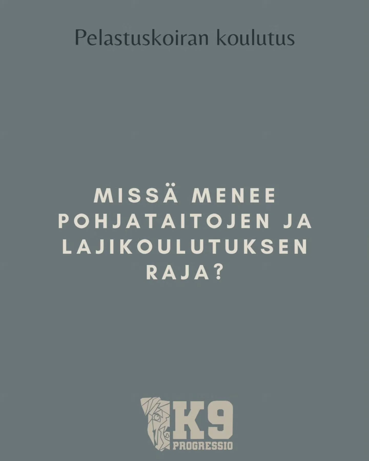 Pohjataidot voi tarkoittaa eri harrastajille eri asioita, mutta omassa koulutuksessani oon jakanut ne asioihin, jotka ovat oppimisen tukena. Ne on t&auml;rke&auml;&auml; koiran osata, jotta lajiharjoittelussa voi menesty&auml;.

Pohjataitoja voisi ve