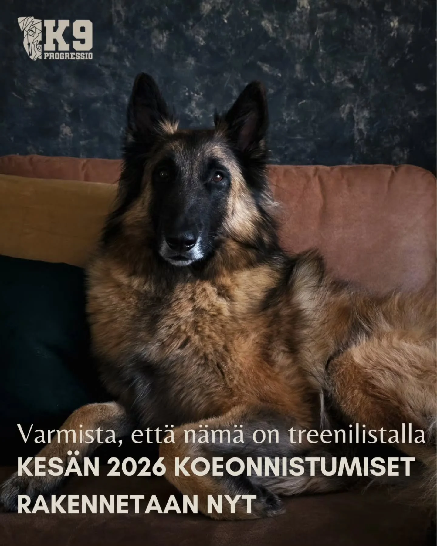 Jos koetavoitteet siint&auml;&auml; tulevalla kev&auml;t- ja kes&auml;kaudella, on hyv&auml; t&auml;ss&auml; kohtaa varmistaa, ett&auml; n&auml;m&auml; asiat ovat mukana treenilistalla:

➡️Yleist&auml;misen eri kategoriat kuten kesto, kuljettu matka,